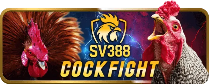 Cá cược thể thao Win69 App